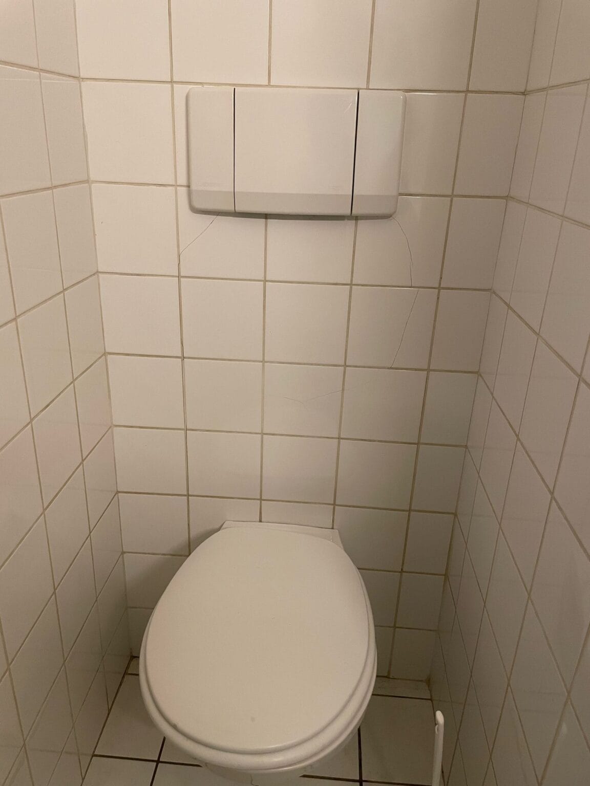 PHOTO-2025-05-01-15-55-29 4