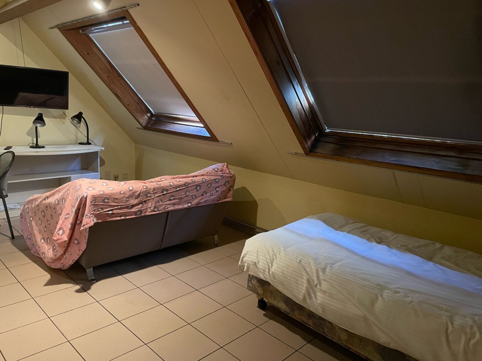 FOTO-2025-05-01-15-59-33 3