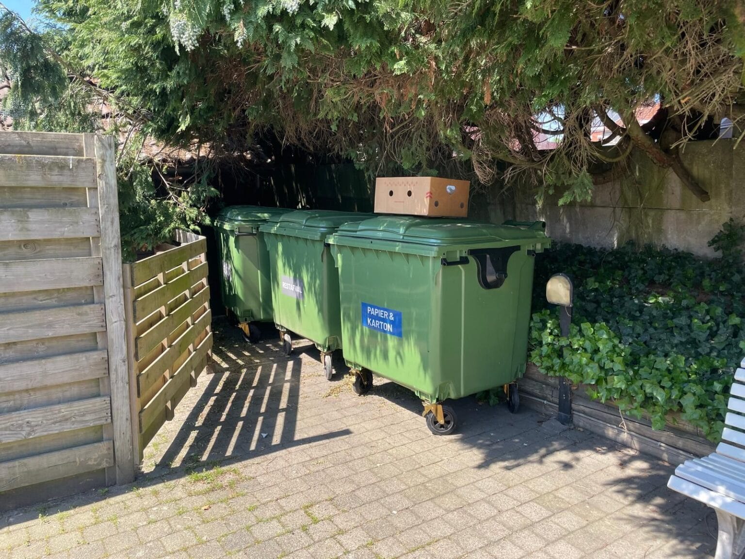 WhatsApp Image 2025-09-16 at 20.32.53 (4)